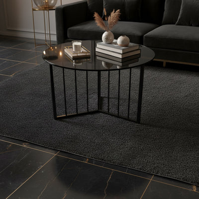 Black Glass Round Cage Coffee Table