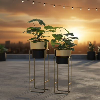 Black Gold Cylindrical Planter Set of 2